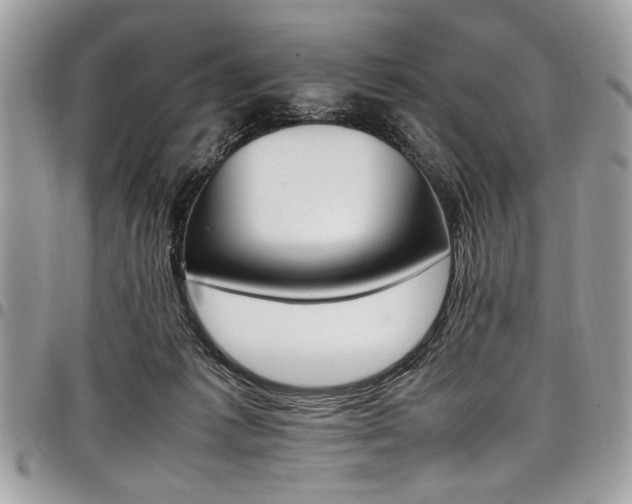 X0000098040221200803281439