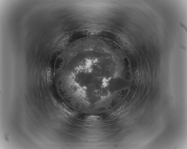 X0000098040222200803281439