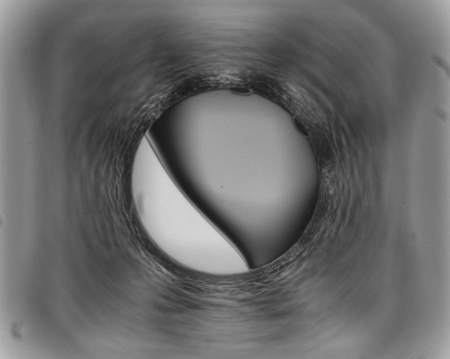 X0000098040223200803281439