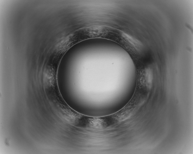 X0000098040226200803281439