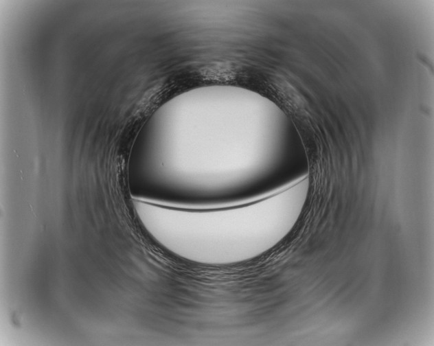 X0000098040229200803281439