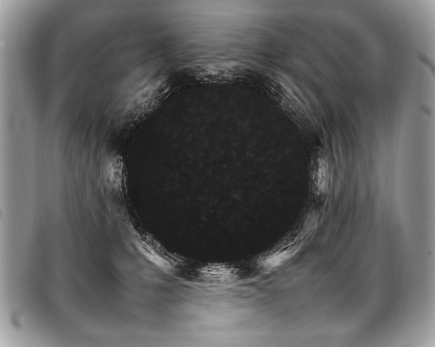 X0000098040231200803281439