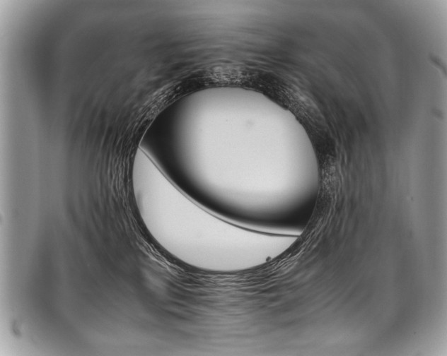 X0000098040233200803281439
