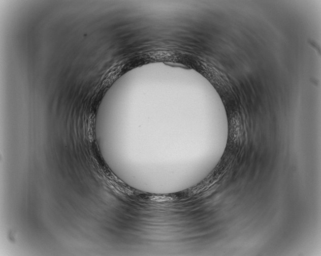 X0000098040234200803281439
