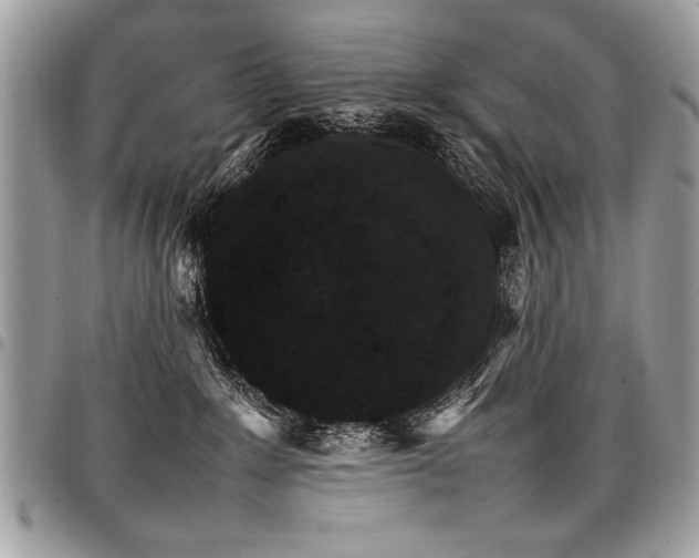 X0000098040235200803281439