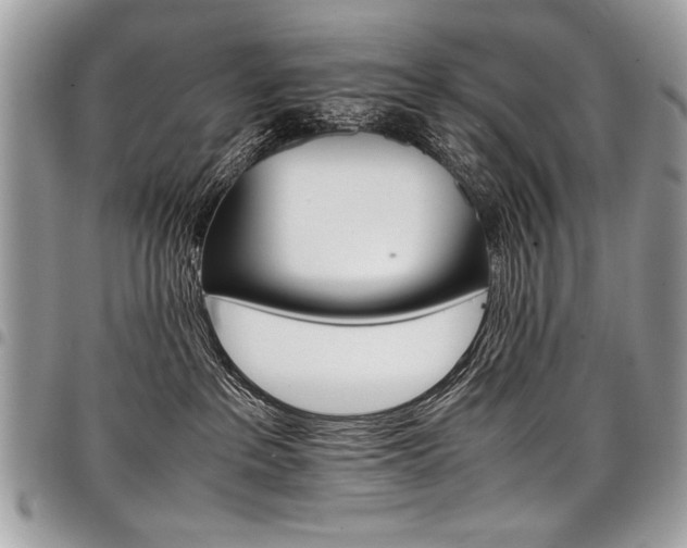 X0000098040237200803281439