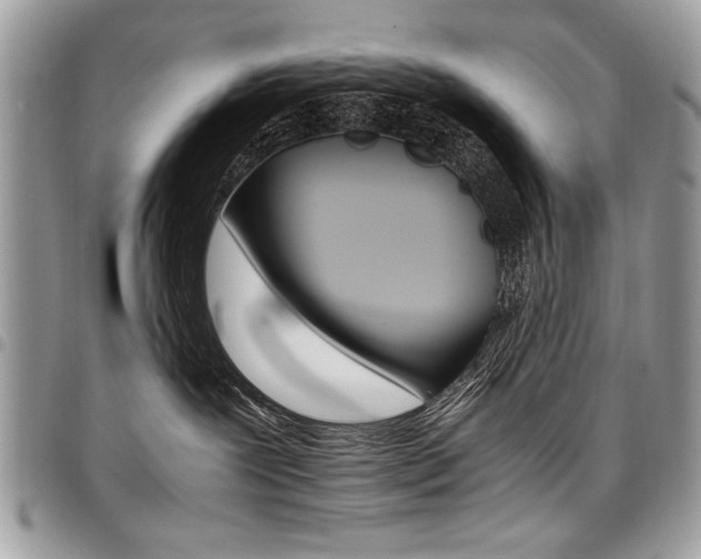 X0000098040239200803281439