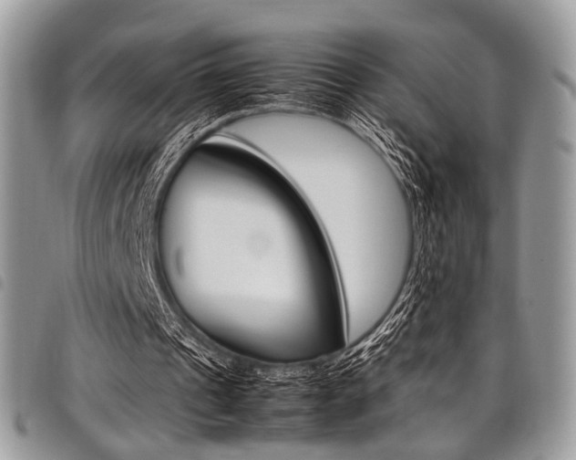X0000098040241200803281438