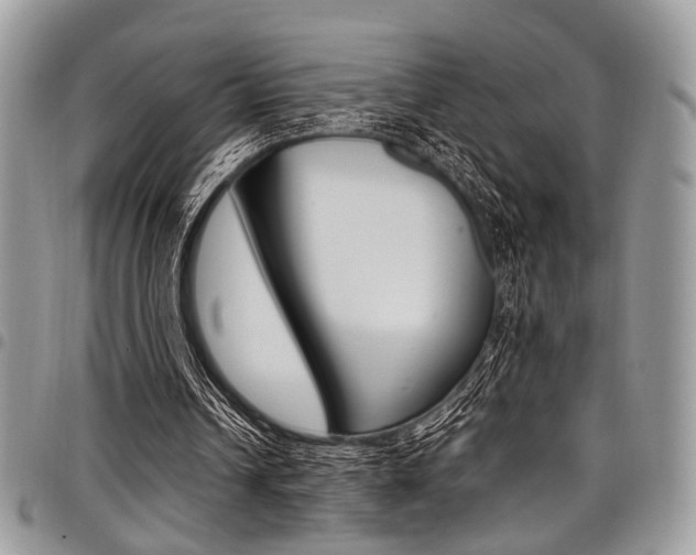 X0000098040242200803281438