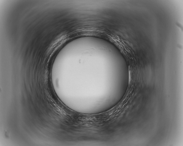 X0000098040243200803281438