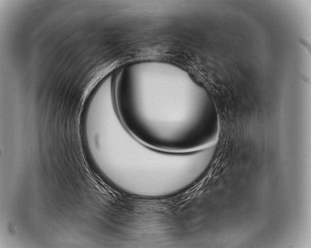 X0000098040244200803281438