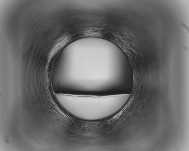 X0000098040245200803281438