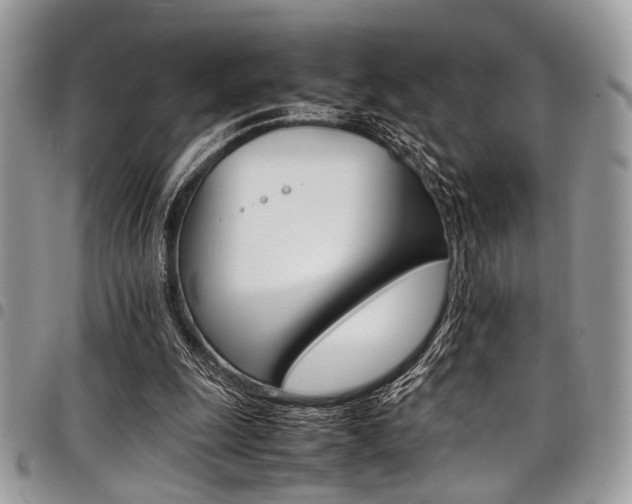 X0000098040247200803281438