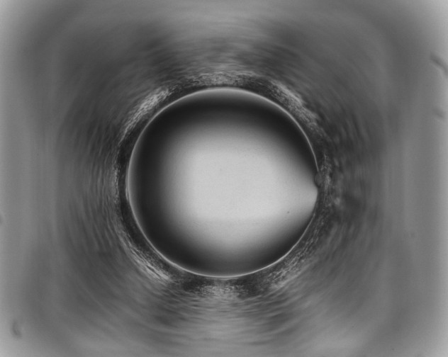 X0000098040250200803281438