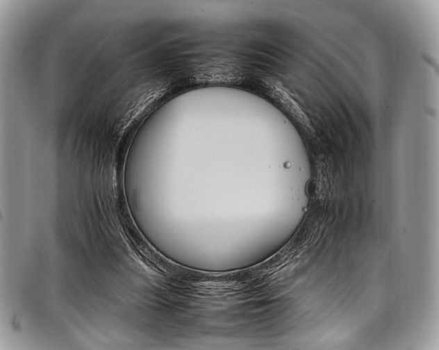 X0000098040251200803281438