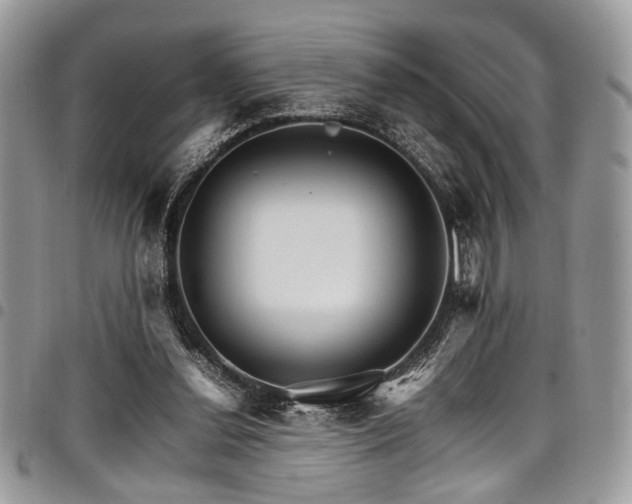 X0000098040252200803281438