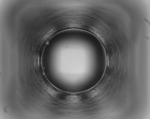 X0000098040253200803281438