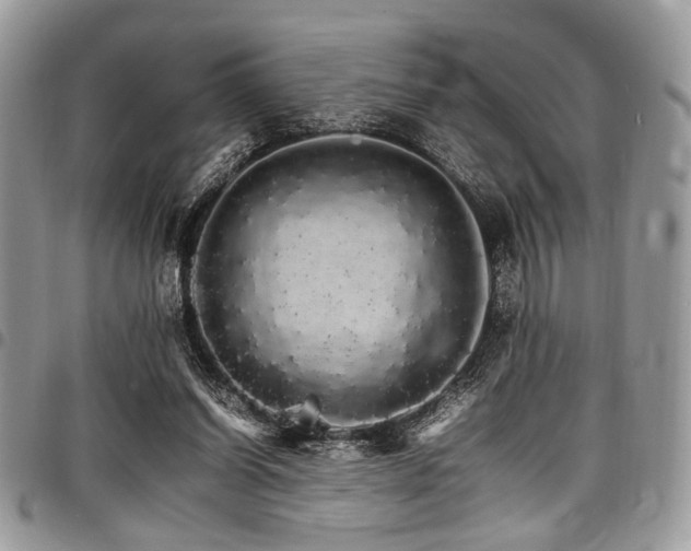 X0000098040254200803281438