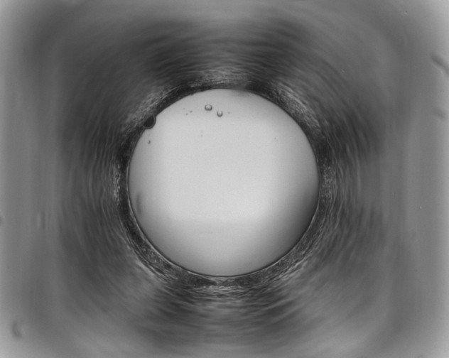 X0000098040255200803281438