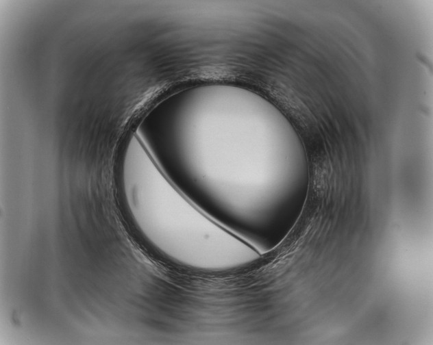X0000098040256200803281438