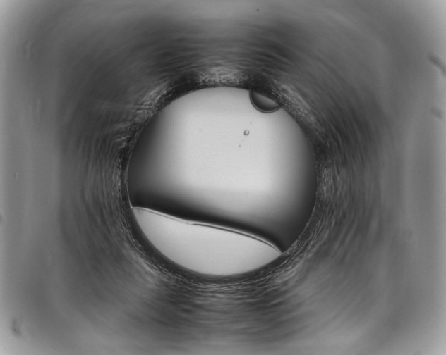 X0000098040259200803281438