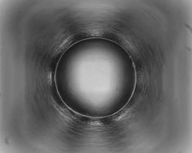 X0000098040262200803281438