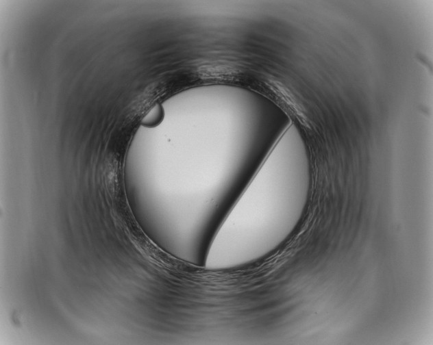 X0000098040265200803281438