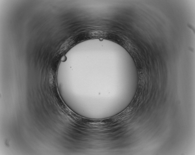 X0000098040266200803281438