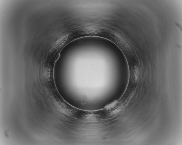 X0000098040268200803281438