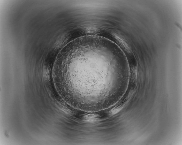 X0000098040269200803281438