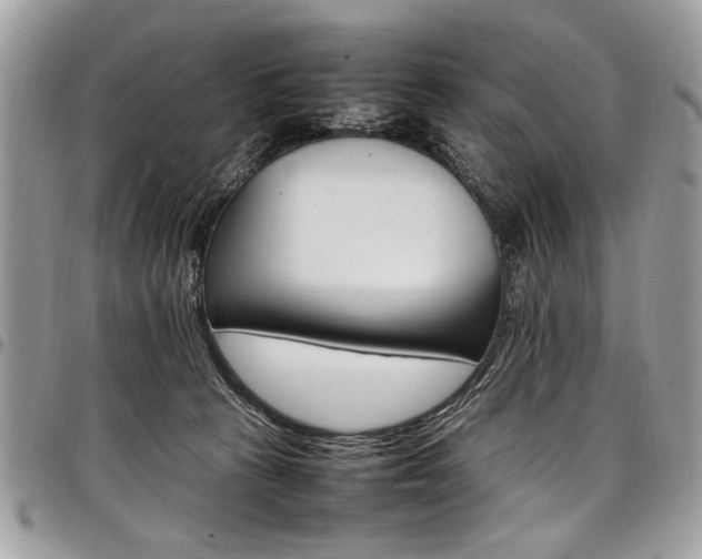 X0000098040273200803281438