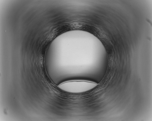 X0000098040274200803281439
