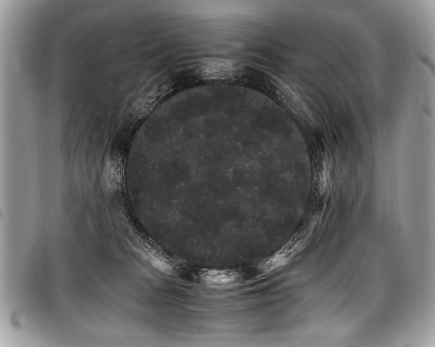 X0000098040277200803281439