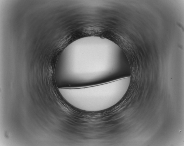 X0000098040279200803281439