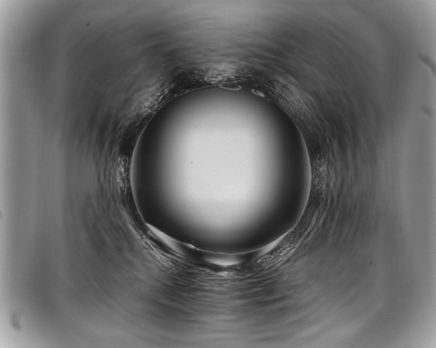 X0000098040280200803281439