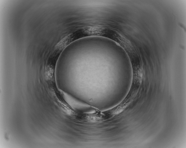 X0000098040281200803281439