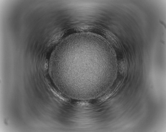 X0000098040284200803281439