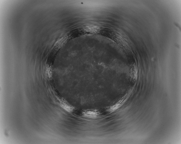 X0000098040285200803281439