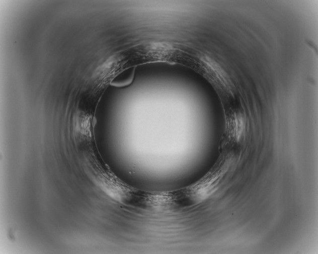X0000098040286200803281439