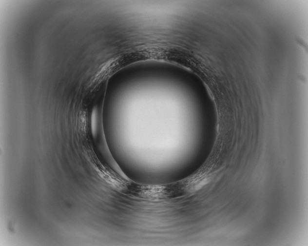 X0000098040288200803281439