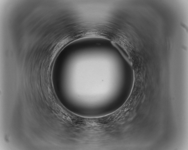 X0000098040289200803281438