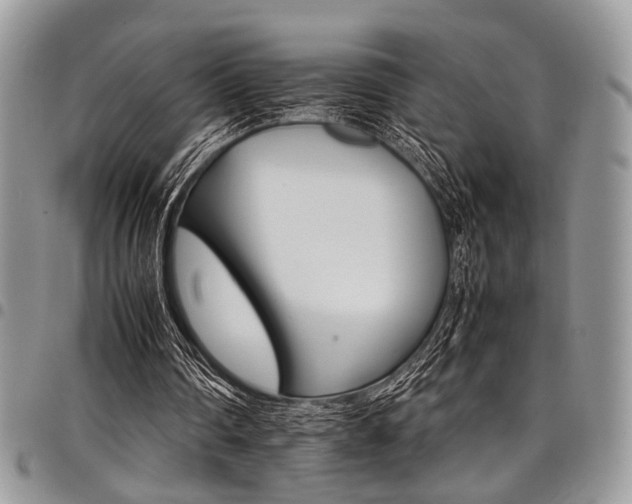X0000098040290200803281438