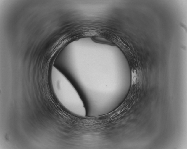 X0000098040291200803281438