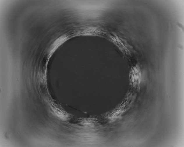 X0000098040292200803281438