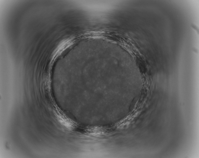 X0000098040293200803281438