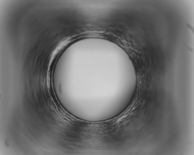 X0000098040294200803281438