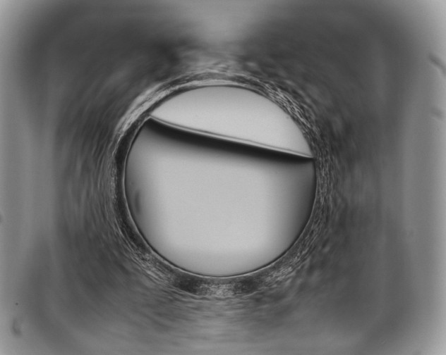 X0000098040295200803281438