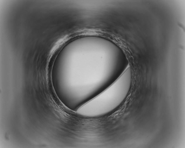 X0000098040296200803281438