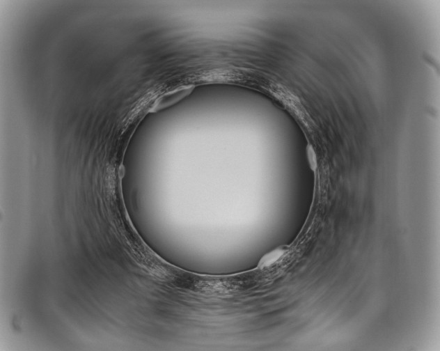 X0000098040297200803281438