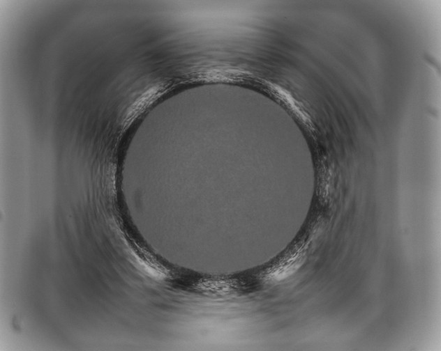 X0000098040299200803281438